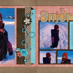 Snow much fun