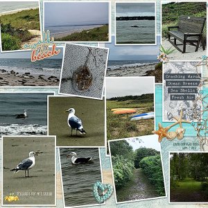 GS-BackItUpCh820-HarlowBeach-L-9717