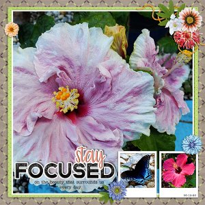 Beauty Surrounds Us