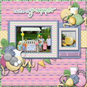 Lemonade Stand!