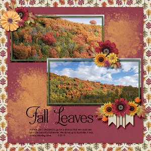 Fall Leaves