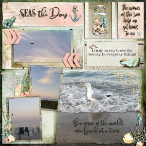 seas the day