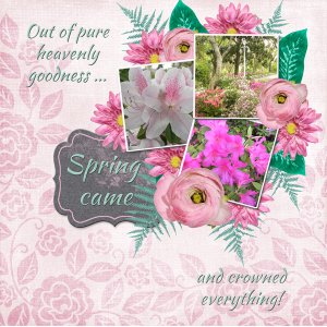 Out of pure heavenly goodness ... Spring Came ... and crowned everything!