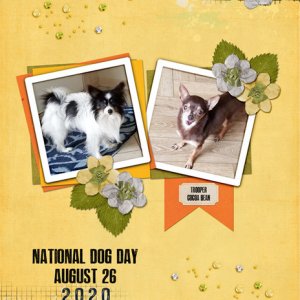 National Dog Day