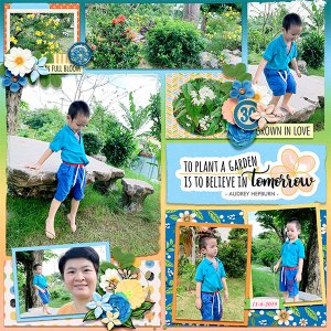 In my garden