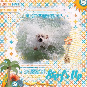 Surf Up