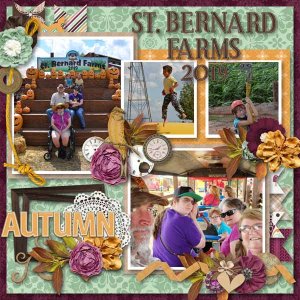 St Bernard Farms