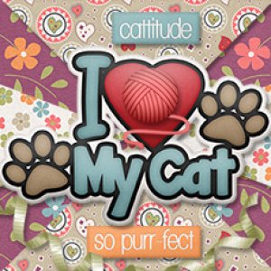 Love My Cat - FB