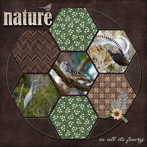 Nature in all it