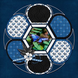 Butterfly Blues