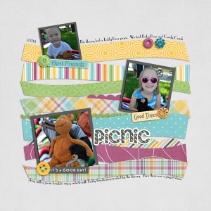 Picnic
