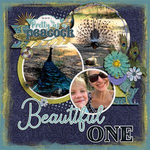 Beautiful One