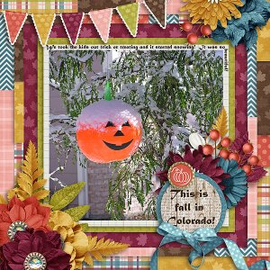 Fall_in_Colorado_MFish_Bits_Pieces2_02_rfw