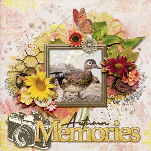 Autumn Memories