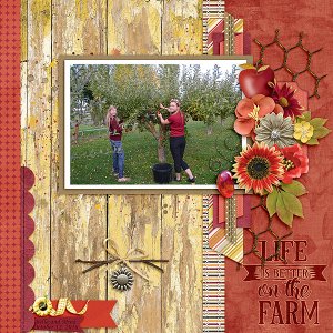 GS_HarvestingMemories-MissFish_Sidelines_BellaMina10-2016-copy