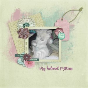My beloved Mittens
