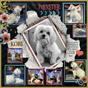Kobi - The Trickster