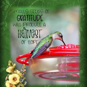 Gratitude