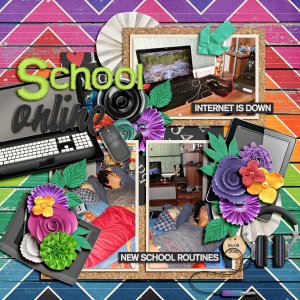 school online