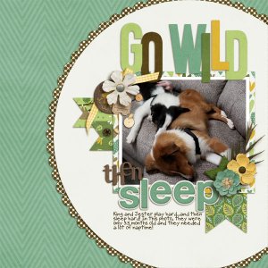 cap_intothewild-bundle
