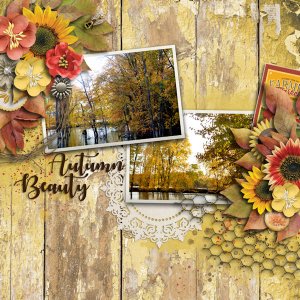 Autumn Beauty