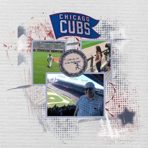 Cubs game 2015