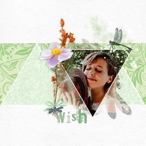 wish
