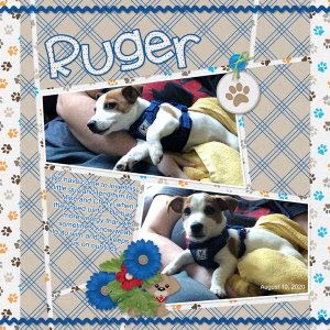 September 2020 Gingerscraps Created With Rewards Challenge