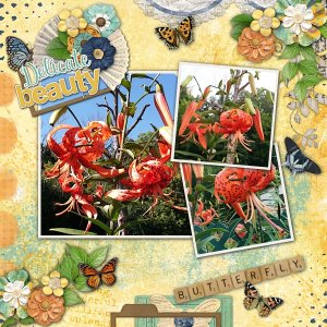 Butterfly Garden