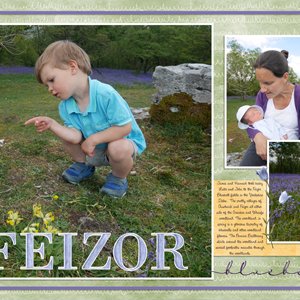 Feizor Bluebell Fields (Both Sides)