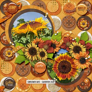 Sunflower Days