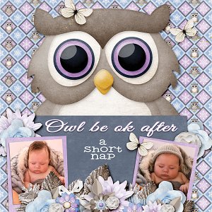 Owl be ok