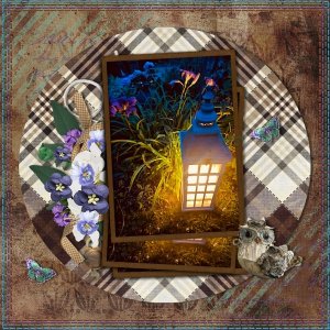 Night Garden