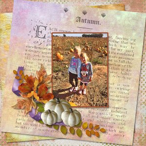 Pumpkin Patch