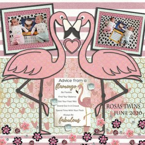 Flamazing Collaboration