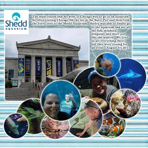 Shedd Aquarium