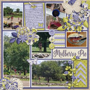 Mulberry Pie