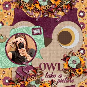 owl take a pic