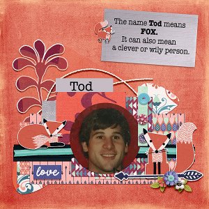 Foxy_Tod_Gallery_Size