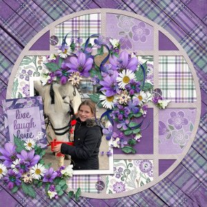 Lavender Dreams