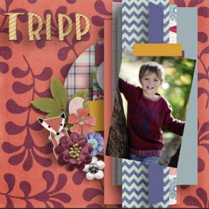 Tripp