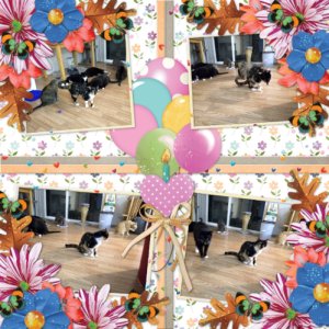 Rainbow's First Birthday Page 2