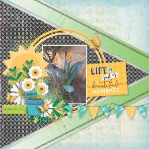 Bday scraplift