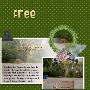 Free
