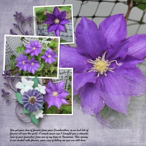 Clematis1