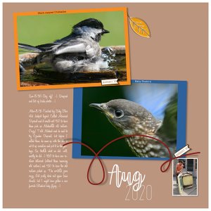Template Challenge 1 2020-08-31-week-left-side