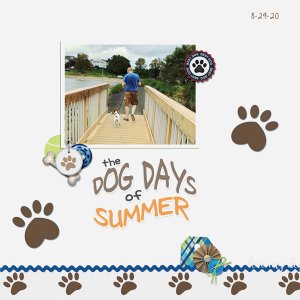 Dog Days of Summer