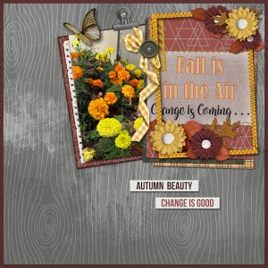 Fall is in the Air