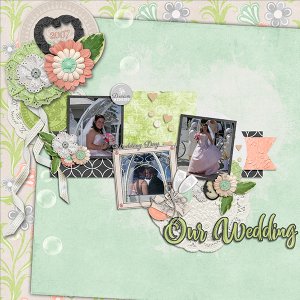 Our Wedding