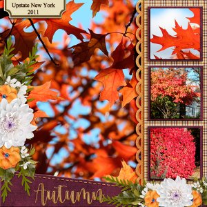 Autumn